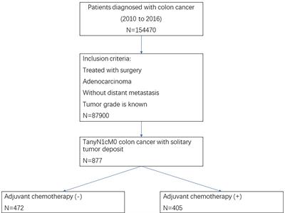 The Prognostic Value of Adjuvant Chemotherapy in Colon Cancer With Solitary Tumor Deposit